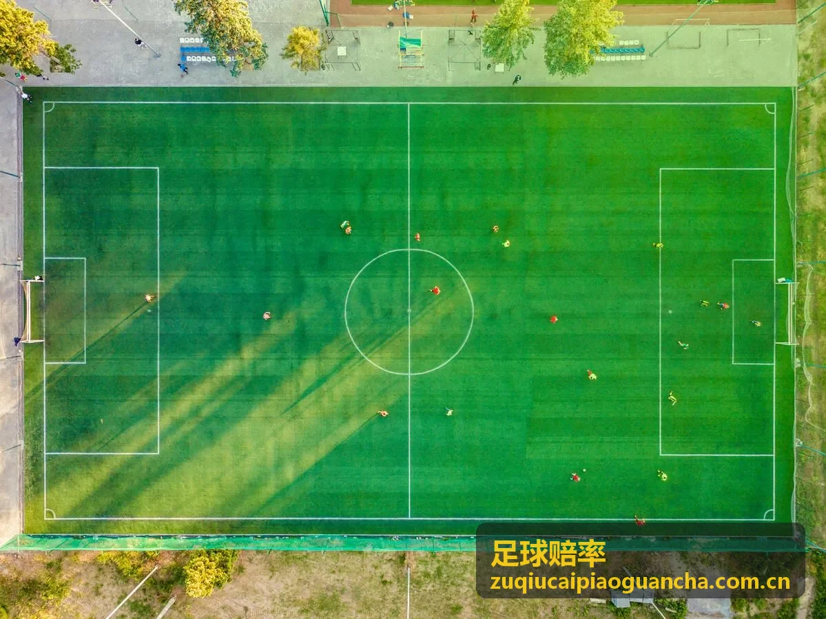 足球赔率大小球投注数据解读